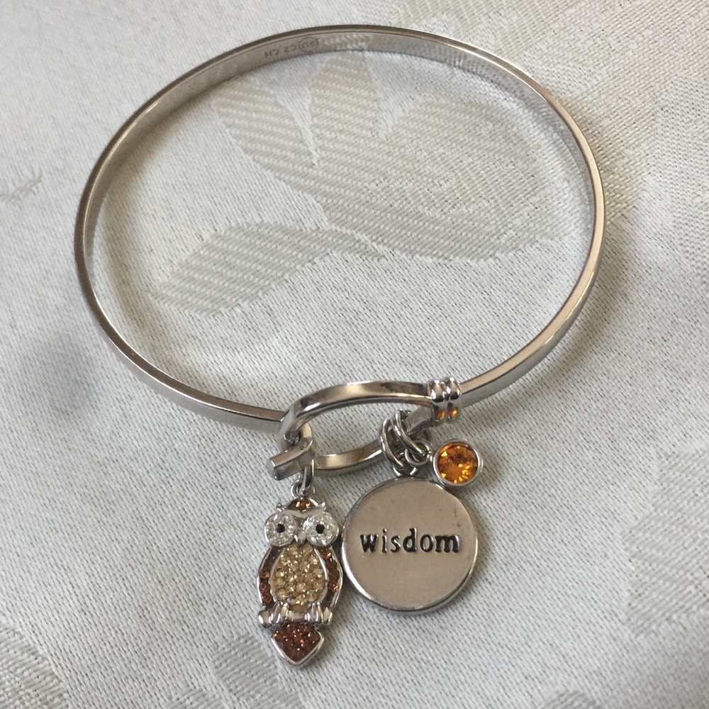 SU CZ Owl Wisdom Charm Bracelet